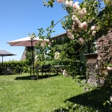 tuin Frensjerhofke