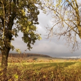 natuurlandschap nabij Frensjerhofke