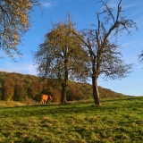 omgeving van Frensjerhofke