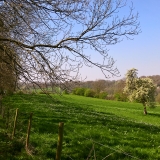 omgeving van Frensjerhofke