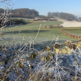 omgeving frensjerhofke in de winter