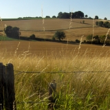 wandeling nabij Frensjerhofke